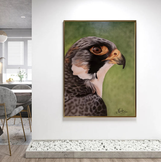 Falcon